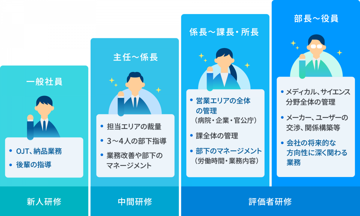 一般社員は、「OJT・納品業務」「後輩の指導」を行う。次に、主任～係長になると「担当エリアの裁量」があり、「3～4人の部下指導」「業務改善や部下のマネージメント」を行う。次に、係長～課長・所長になると、「営業エリアの全体の管理（病院・企業・官公庁）」「課全体の管理」「部下のマネージメント（労働時間・業務内容）」を行う。次に、部長～役員になると、「メディカル・サイエンス分野全体の管理」「メーカー・ユーザーの交渉、関係構築等」「会社の将来的な方向性に深くかかわる業務」を行う。一般社員は新人研修、主任～係長は中間研修、係長～課長・所長、部長～役員は、評価者研修がある。