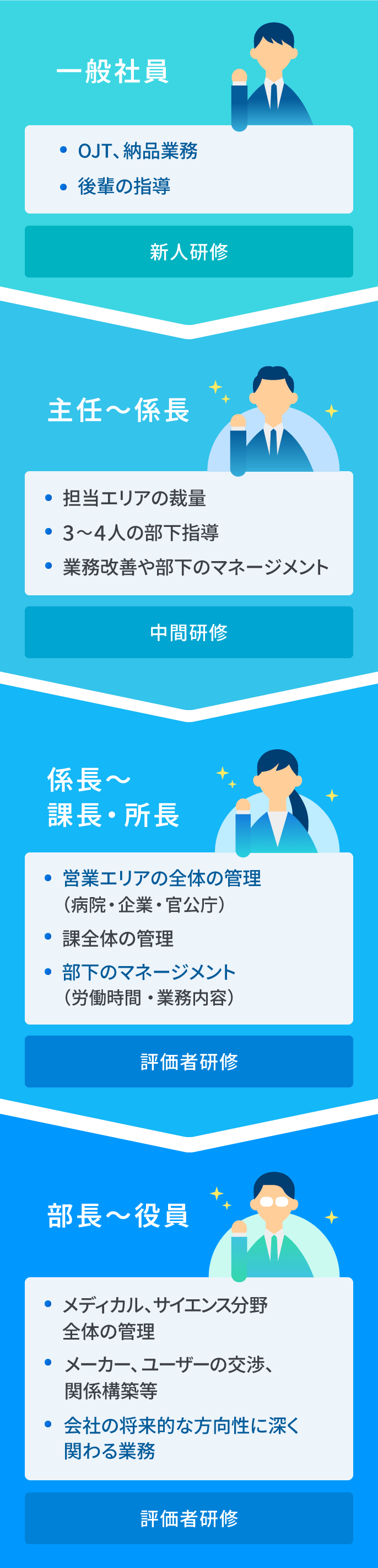 一般社員は、「OJT・納品業務」「後輩の指導」を行う。次に、主任～係長になると「担当エリアの裁量」があり、「3～4人の部下指導」「業務改善や部下のマネージメント」を行う。次に、係長～課長・所長になると、「営業エリアの全体の管理（病院・企業・官公庁）」「課全体の管理」「部下のマネージメント（労働時間・業務内容）」を行う。次に、部長～役員になると、「メディカル・サイエンス分野全体の管理」「メーカー・ユーザーの交渉、関係構築等」「会社の将来的な方向性に深くかかわる業務」を行う。一般社員は新人研修、主任～係長は中間研修、係長～課長・所長、部長～役員は、評価者研修がある。